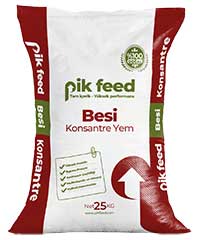 Konsantre Besi Yemi
